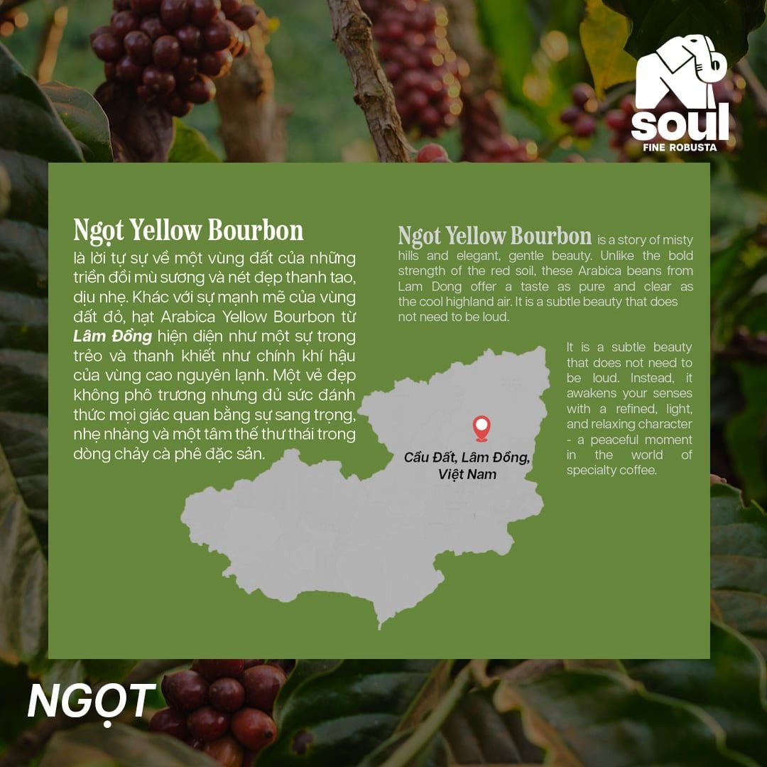  SOULFUL NGỌT BREWING - YELLOW BOURBON - HONEY | SOULFUL COLLECTION 2026 I VIETNAM SPECIALTY ARABICA 