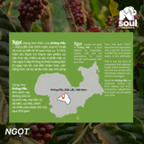  SOULFUL NGỌT BREWING - FINE ROBUSTA TR - LOCAL FRUITS YEAST | SOULFUL COLLECTION 2026 | VIETNAM FINE ROBUSTA 