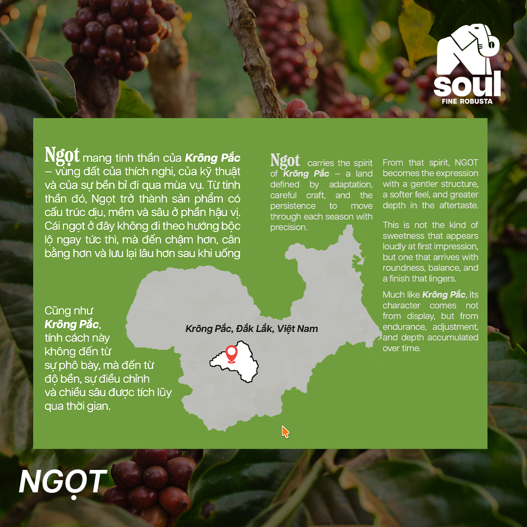  SOULFUL NGỌT BREWING - FINE ROBUSTA TR - LOCAL FRUITS YEAST | SOULFUL COLLECTION 2026 | VIETNAM FINE ROBUSTA 