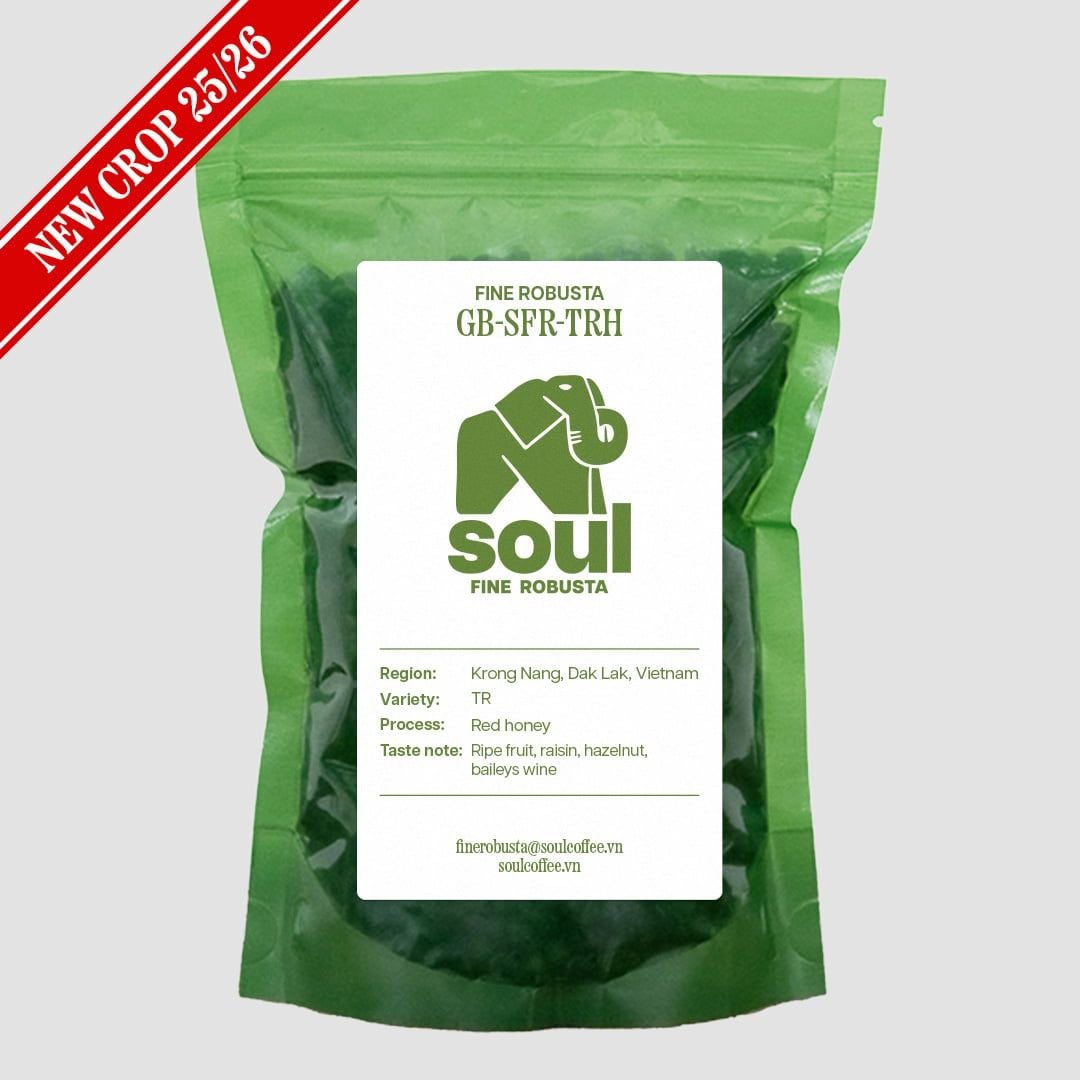  [NEW CROP 25/26] TR - Red Honey - Vietnam Fine Robusta 