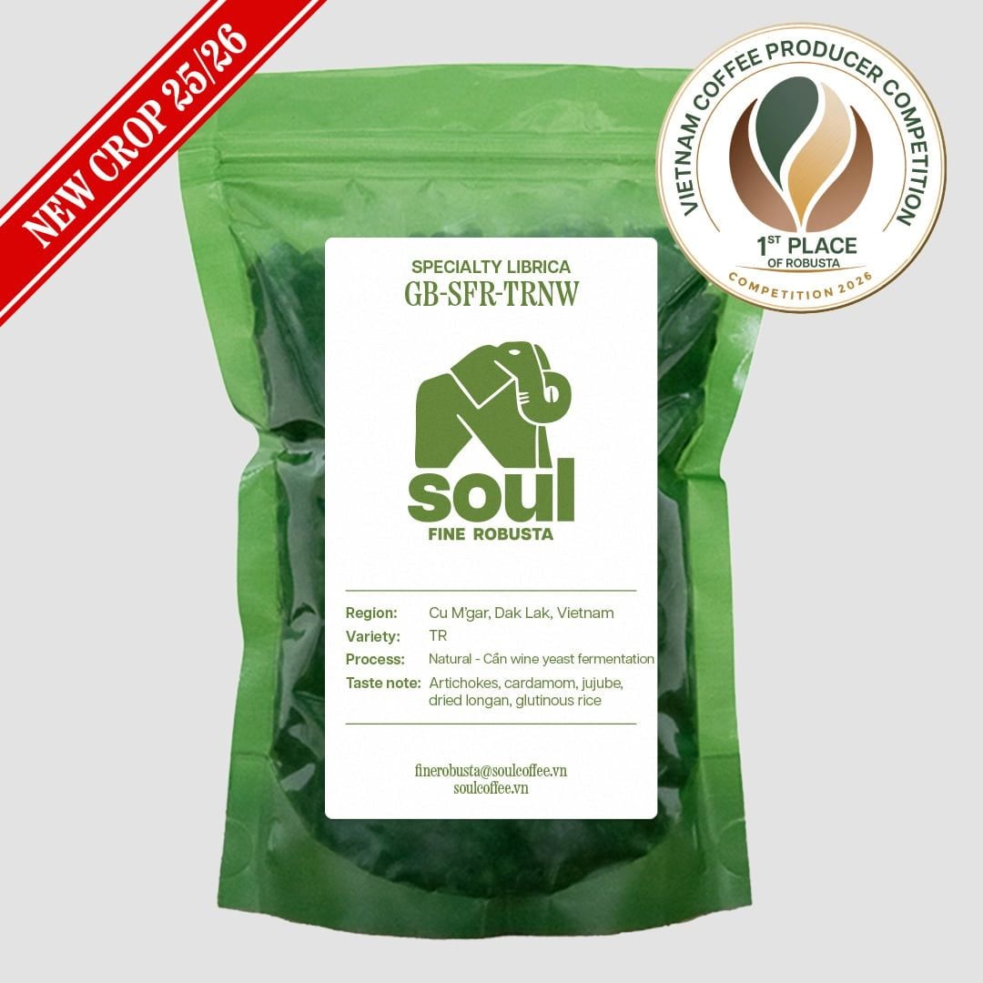  [NEW CROP 25/26] TR - Natural - Cần Wine Yeast - Vietnam Fine Robusta 