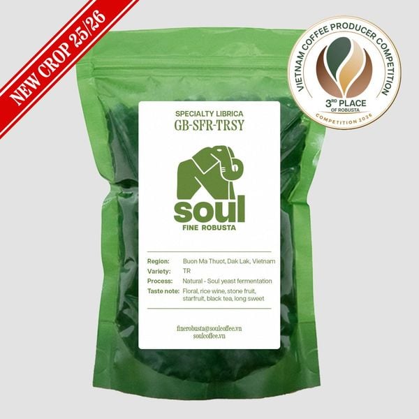  [NEW CROP 25/26] TR - Natural - Soul Yeast - Vietnam Fine Robusta 