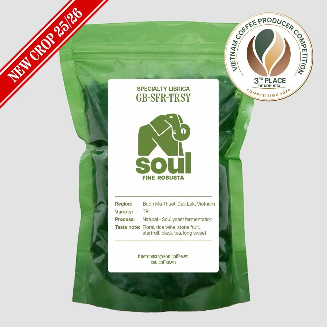  [NEW CROP 25/26] TR - Natural - Soul Yeast - Vietnam Fine Robusta 