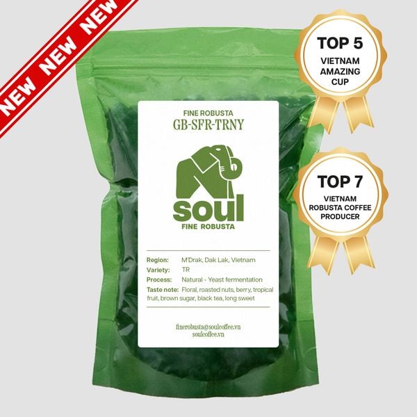  [SOLD OUT] Robusta - TR - Natural - CQI 85.69 - Top 7 Vietnam Robusta Coffee Producer - Vietnam Fine Robusta 