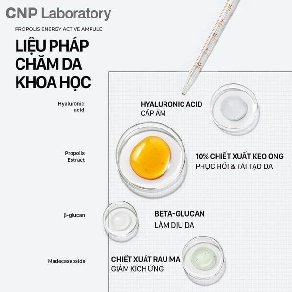 Tinh Chất Keo Ong Tái Tạo Phục Hồi Da CNP Laboratory Propolis Energy Ampule 5ml