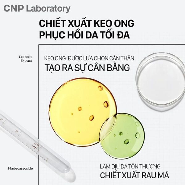 Tinh Chất Keo Ong Tái Tạo Phục Hồi Da CNP Laboratory Propolis Energy Ampule 5ml