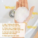 Combo 2 Sữa Rửa Mặt Garnier Tạo Bọt Hỗ Trợ Dưỡng Sáng Da Light Complete Brightening Whip Foam 50mlx2