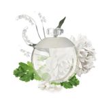 Nước Hoa Nữ Cacharel Noa Vaporisateur Spray EDT 100ml