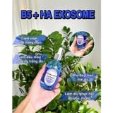 Tinh Chất Dermacrew Exosome B5 + HA Cấp Ẩm Sâu, Căng Bóng, Phục Hồi Da 100ml