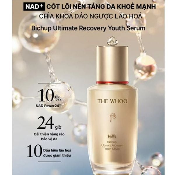 Full Size Bộ Dưỡng Da Whoo Bichup Ultimate Recovery Youth Serum Special Set