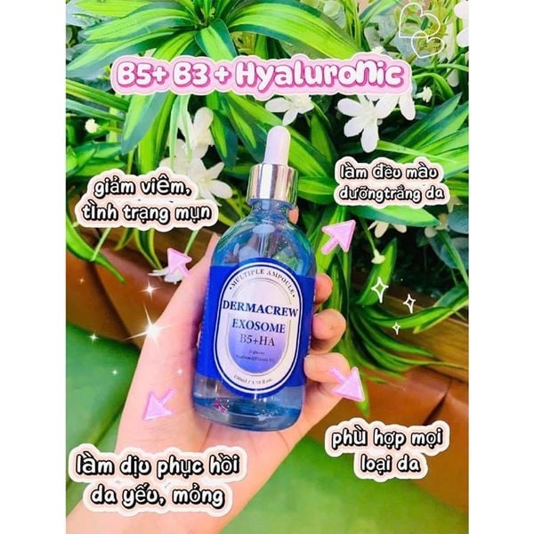 Combo 2 Tinh Chất Dermacrew Exosome B5 + HA Cấp Ẩm Sâu, Căng Bóng, Phục Hồi Da 100mlx2