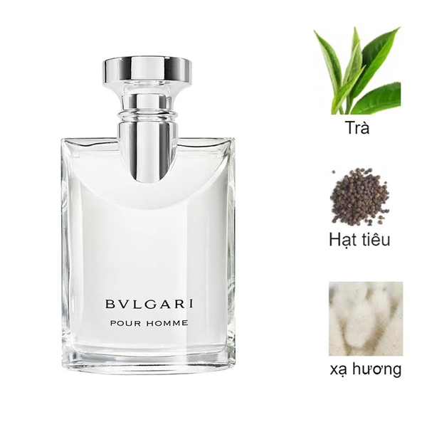 Nước Hoa Nam Bvlgari Men's Pour Homme EDT 100ml