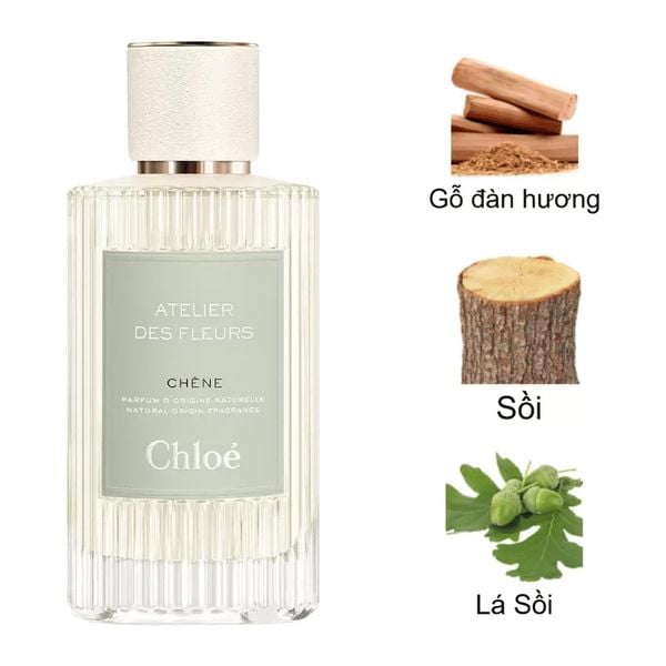 Nước Hoa Unisex Chloe Atelier Des Fleurs Chene 50ml