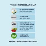 (HSD: 11/2026) f188 vip 2 Kem Đánh Răng Làm Se Nướu, Giảm Chảy Máu, Ức Chế Sự Phát Triển Vi Khuẩn Ngừa Sâu Răng Toothpaste President Active (75 RDA) 75gx2