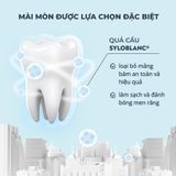 (HSD: 11/2026) Kem Đánh Răng Làm Se Nướu, Giảm Chảy Máu, Ức Chế Sự Phát Triển Vi Khuẩn Ngừa Sâu Răng Toothpaste President Active (75 RDA) 75g