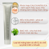 (HSD: 11/2026) Combo 2 Kem Đánh Răng Trắng Sáng, Giảm Mảng Bám Thơm Miệng Toothpaste President White (100 RDA) 75gx2