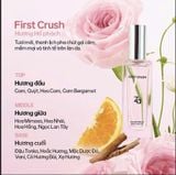 Combo Nước Hoa ZA First Collection Perfume Với 5 mùi Hương: Hương ZA First Kiss - Hương Za First Meet - Hương Za First Fantasy - Hương Za First Dance With You Và Za First First Crush 20mlx5