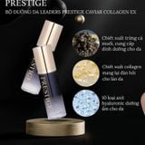 Set Dưỡng Da Chống Lão Hóa Prestige Hàn Quốc (Serum+ Kem Dưỡng)