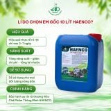 Combo 2 Can Chế Phẩm EM gốc (10 lít)