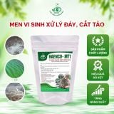 Combo 2 Men vi sinh xử lý nước ao nuôi