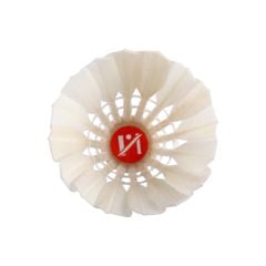D06 - Cầu Lông Hải Yến Đỏ 06