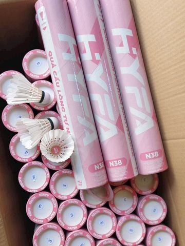 N38 - CẦU LÔNG HYFA N38