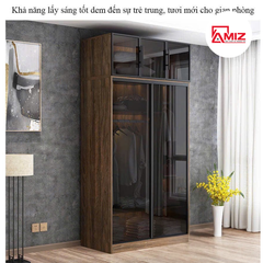 Tủ quần áo cánh kính lùa hiện đại AMIZ-008