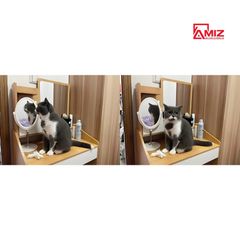 Bàn Phấn Trang Điểm Hiện Đại AMIZ NỘI THẤT & TRANG TRÍ, AMIZ-011