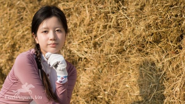 Áo polo cưỡi ngựa nữ