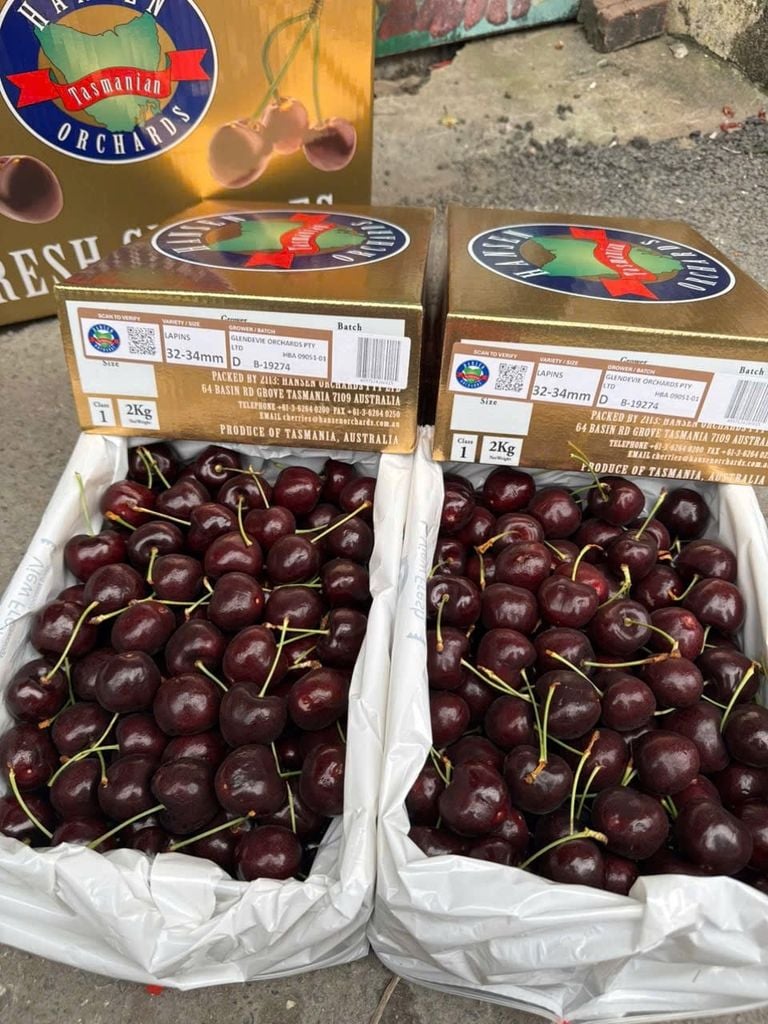 Cherry Úc Hansen Orchards Tasmania Size 32-34 Hộp 2kg