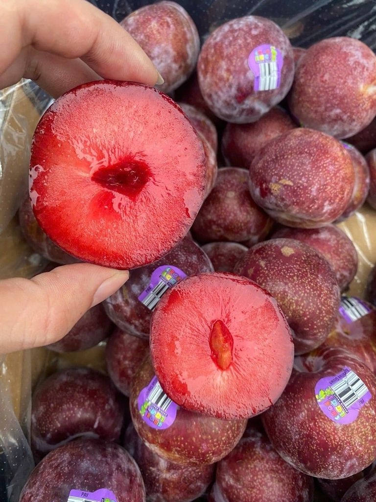 Mận Khủng Long Úc Thùng 5kg