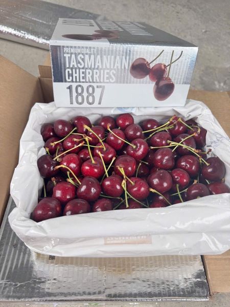 Cherry Tasmanian 1887 Size 32-34 Hộp Bạc 2kg
