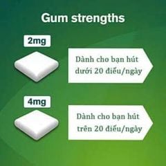 Kẹo Cao Su Cai Thuốc Lá Nicorette Gum 4mg Hộp 210 Viên