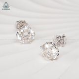 EG001 VT10K chuôi đẩy 