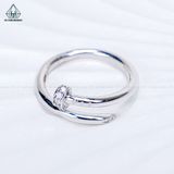  R017 Nhẫn đinh 