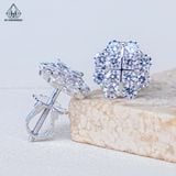  E114 Bông tai cỏ bốn lá 