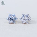  E129 Bông tai hoa 6 cánh nhọn 