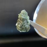  PC006 HỒ LY 9 ĐUÔI T.A TÓC XANH 