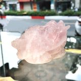  VP008 THIỀM THỪ THẠCH ANH HỒNG 