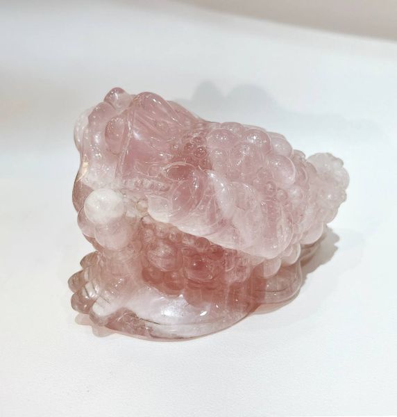  VP008 THIỀM THỪ THẠCH ANH HỒNG 