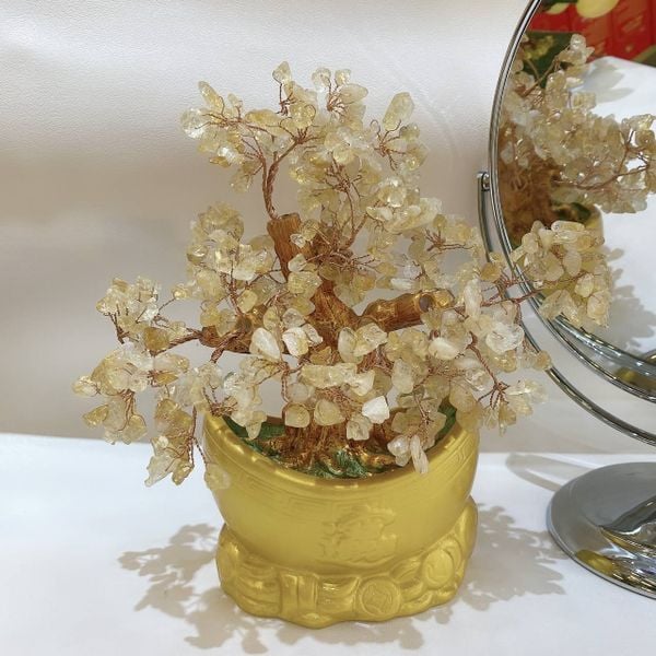  VP009 CÂY TÀI LỘC THẠCH ANH VÀNG 22*14*20 