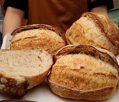 Bánh Mì Sourdough