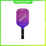  Vợt Pickleball Gamicy Beast T300 