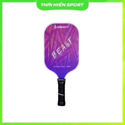  Vợt Pickleball Gamicy Beast T300 