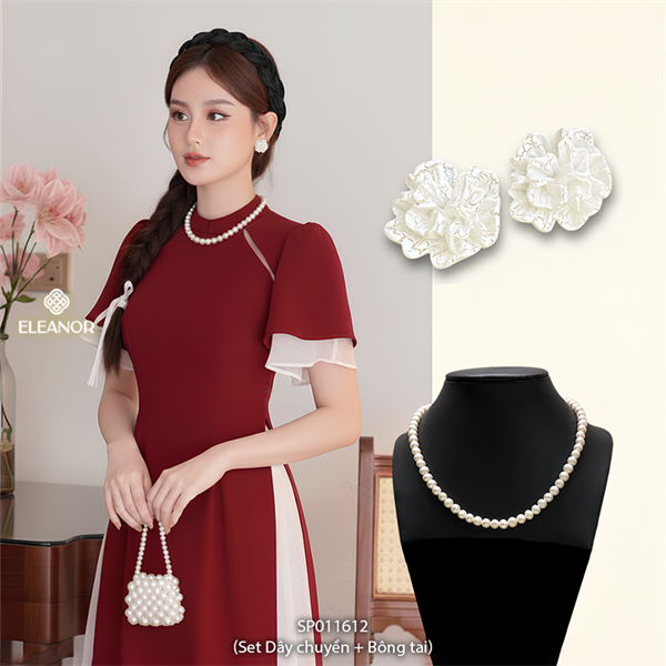  Set SP011612 - (Set DC 6037 + BT 4684) 