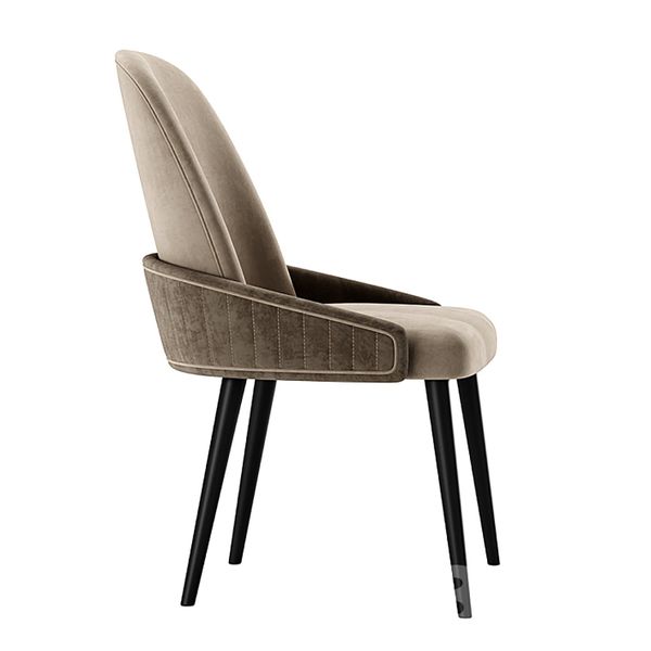 Ghế ăn XDAILY | BELT chair