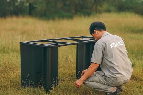 bàn ăn xdaily, lou table