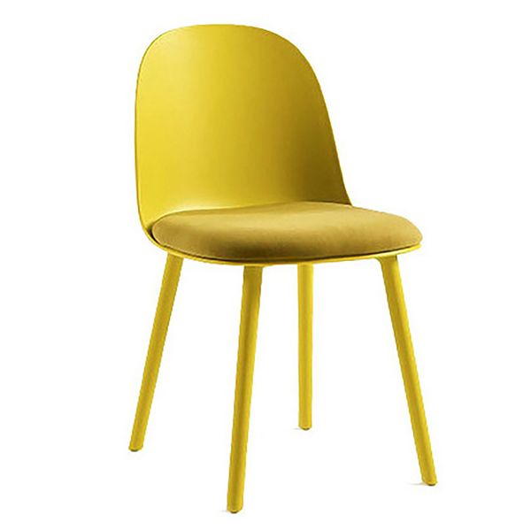 Ghế ăn - cafe XDAILY - TULIP chair