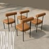 Ghế ăn, ghế cafe XDAILY - COCO chair