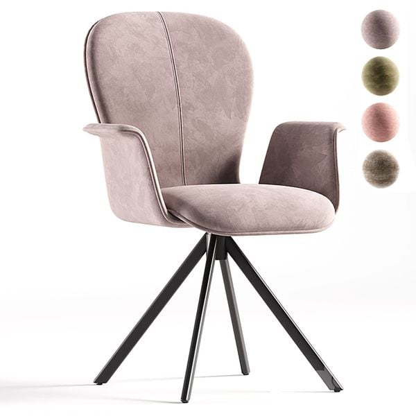 Ghế ăn XDAILY | ASPEN chair